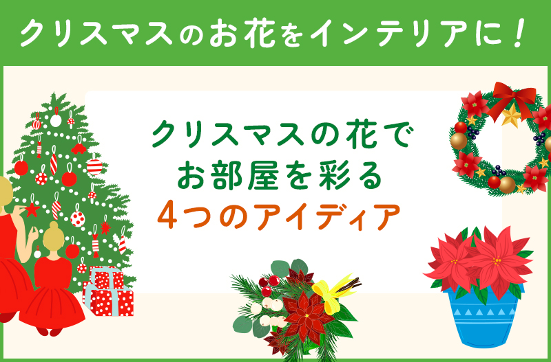 クリスマスの花で部屋を飾りつける4つのアイデア