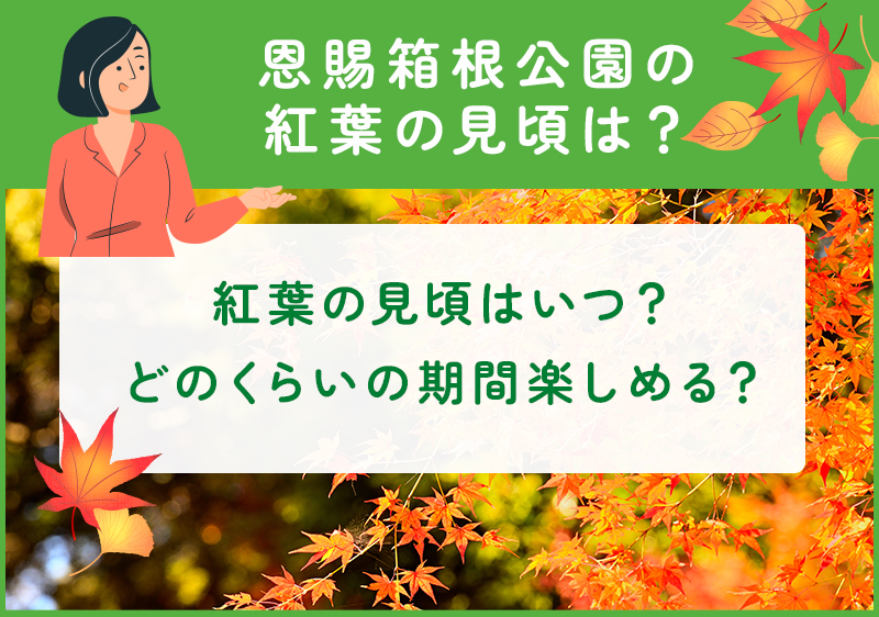 恩賜箱根公園の紅葉の見頃