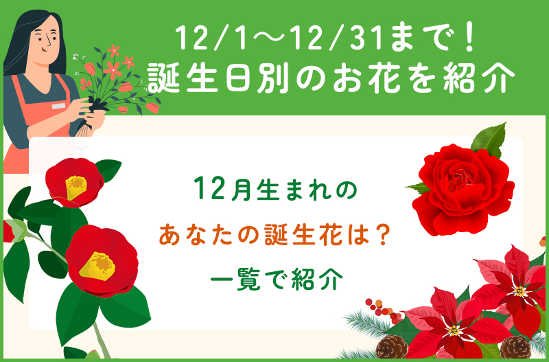 12月1日から31日までの誕生花