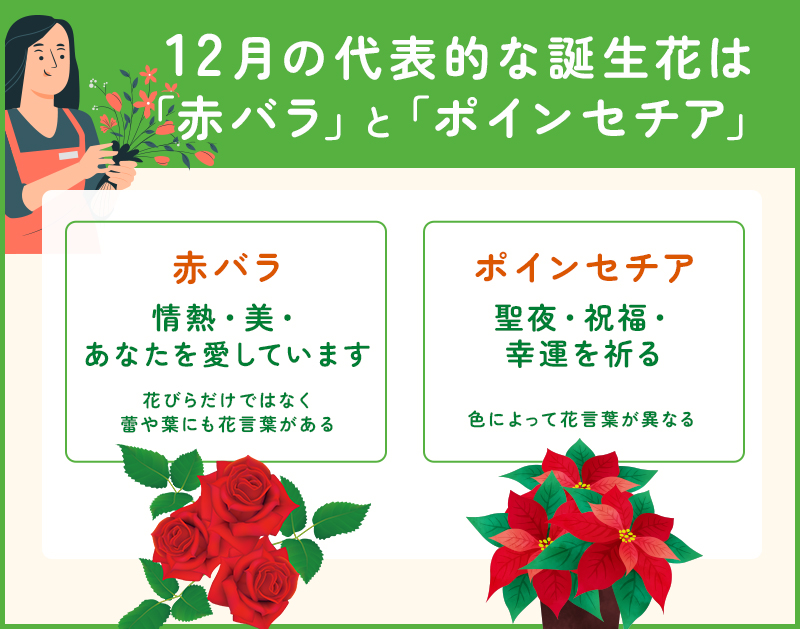 12月の誕生花は赤いバラとポインセチア