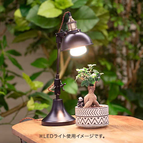 植物育成ライト ~Well light~