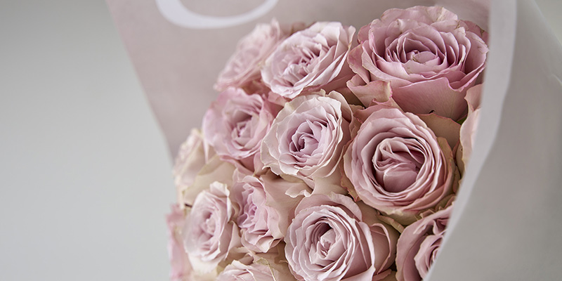 旬の花　おすすめの花　春の花　レコメンドフラワー　バラ　淡いピンク　ホワイトデー　ギフト