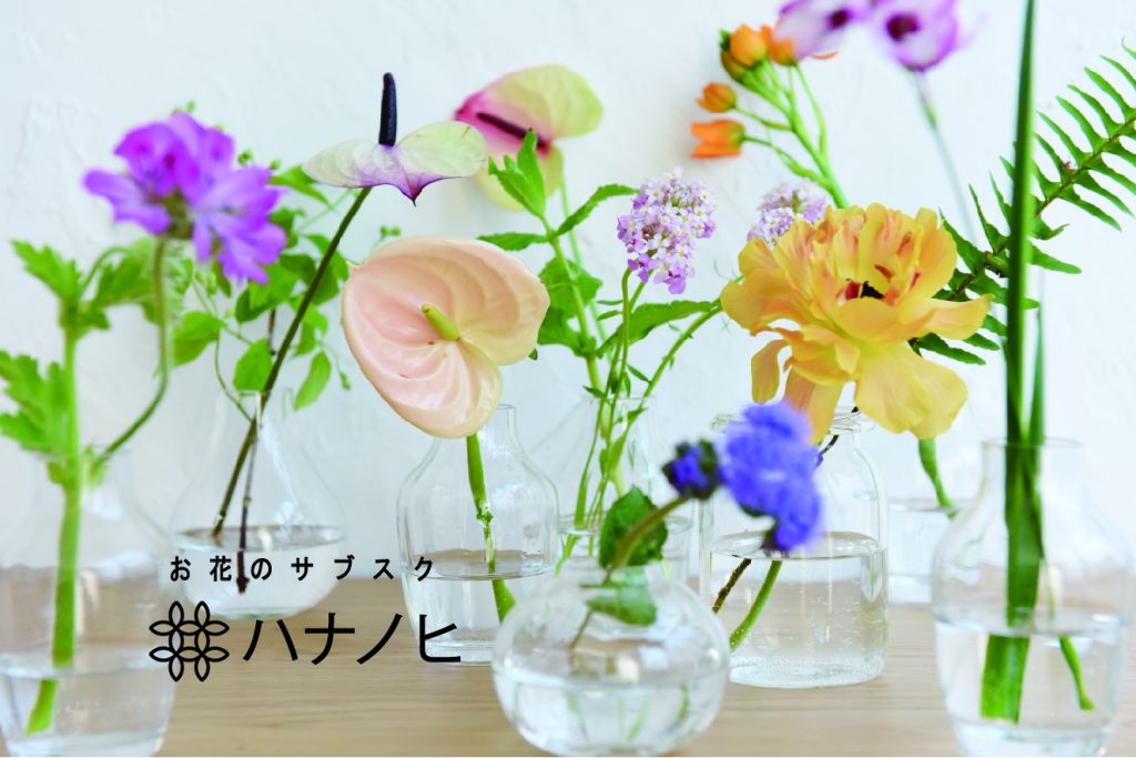 お花のサブスク ハナノヒ