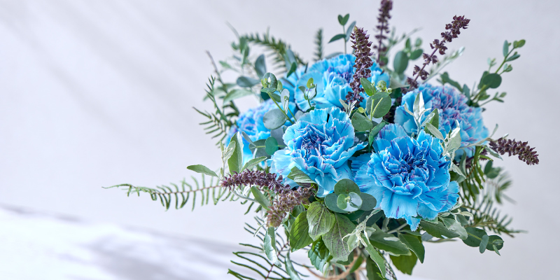 レコメンドフラワー おすすめの花 アイランドブルー カーネーション 青いカーネーション